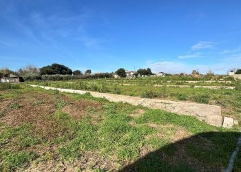 WhatsApp Image 2026-01-22 at 17.54.49.jpeg - Terreno agricolo Via Monte Circeo 21, San Felice Circeo - foto 14