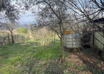 sa9.jpg - Terratetto - Terracielo Sarzana - foto 9