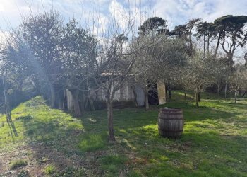 sa19.jpg - Terratetto - Terracielo Sarzana - foto 19