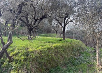 sa20.jpg - Terratetto - Terracielo Sarzana - foto 20