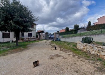 20240224_141016.jpg - Porzione di casa Via Poggio Fiorito, Guardea - foto 28