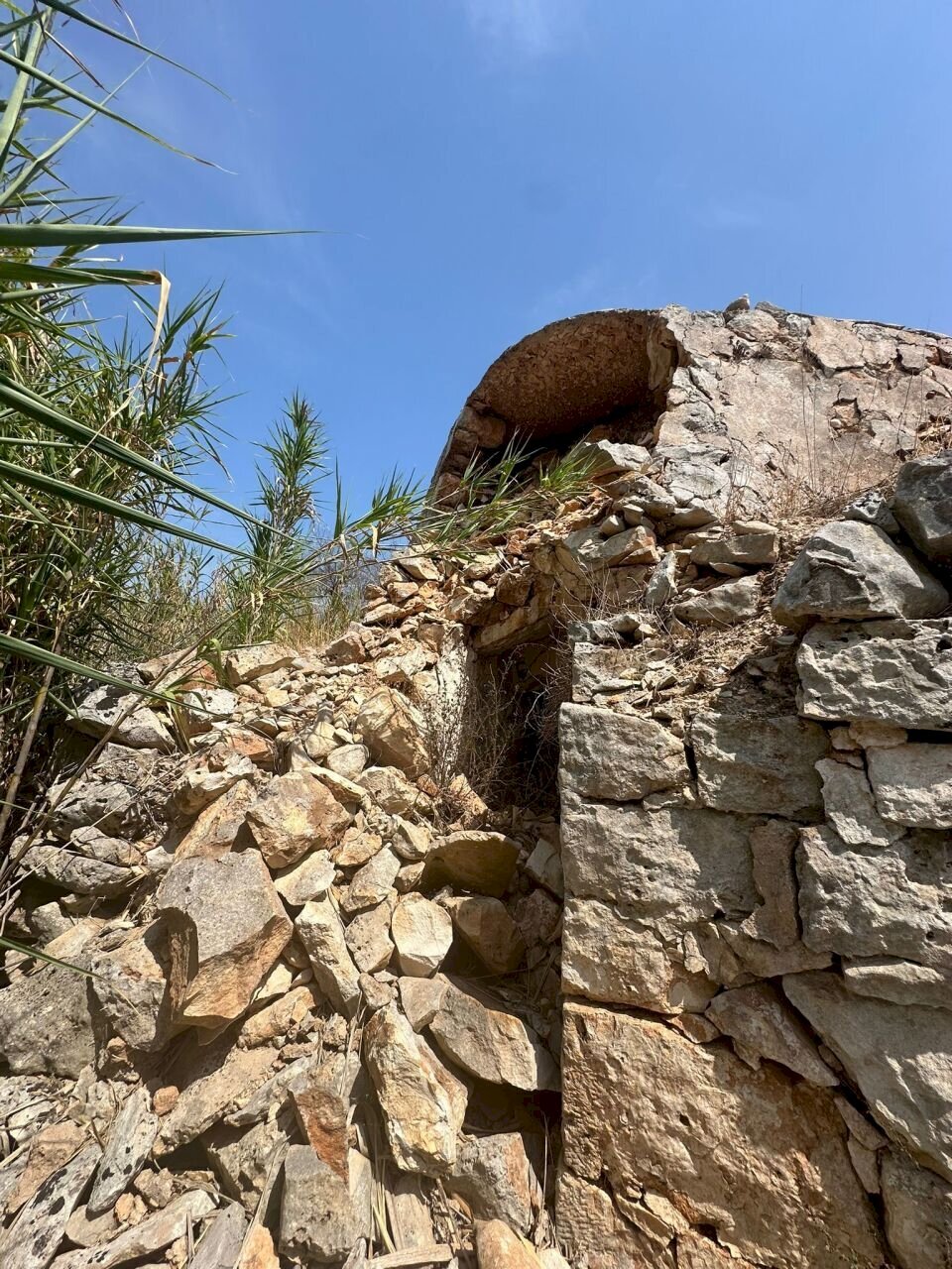 WhatsApp Image 2025-08-20 at 12.43.33 PM.jpeg - Independent house Strada Provinciale 28, Ostuni - photo 2