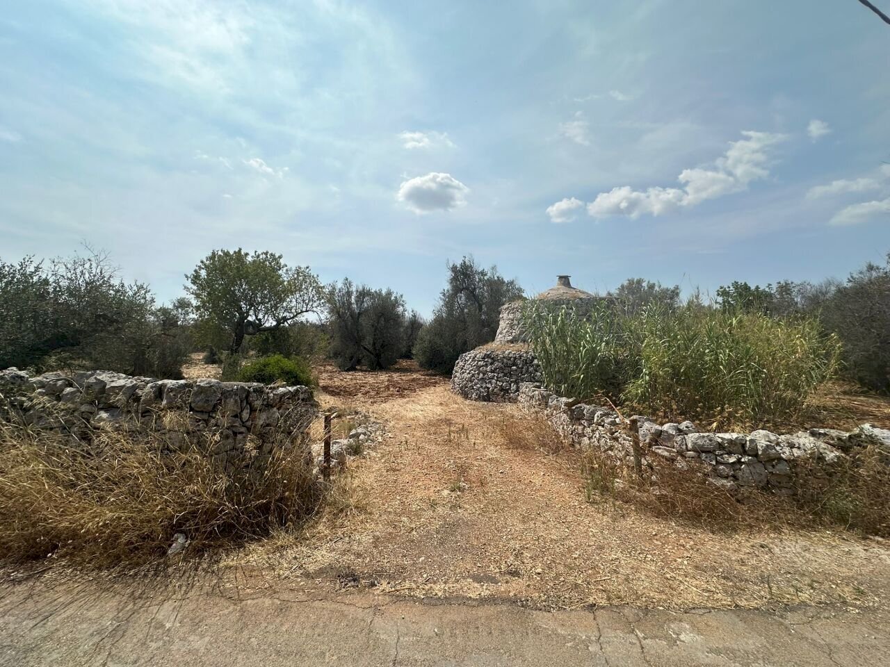 WhatsApp Image 2025-08-20 at 12.43.38 PM (2).jpeg - Independent house Strada Provinciale 28, Ostuni - photo 3