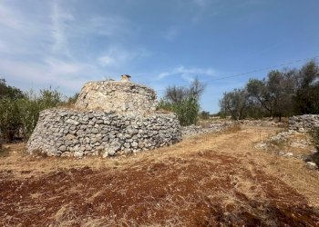 WhatsApp Image 2025-08-20 at 12.43.38 PM.jpeg - Casa indipendente Strada Provinciale 28, Ostuni - foto 1