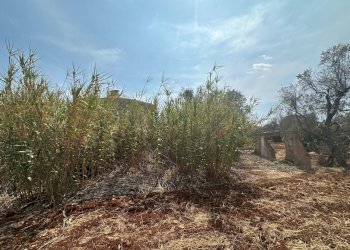 WhatsApp Image 2025-08-20 at 12.43.35 PM (1).jpeg - Casa indipendente Strada Provinciale 28, Ostuni - foto 5