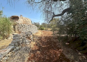 WhatsApp Image 2025-08-20 at 12.43.36 PM (2).jpeg - Casa indipendente Strada Provinciale 28, Ostuni - foto 8