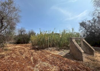 WhatsApp Image 2025-08-20 at 12.43.36 PM.jpeg - Casa indipendente Strada Provinciale 28, Ostuni - foto 9