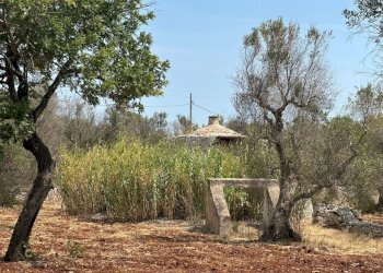 WhatsApp Image 2025-08-20 at 12.43.38 PM (3).jpeg - Casa indipendente Strada Provinciale 28, Ostuni - foto 12