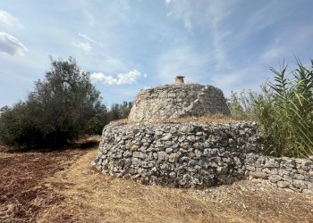 WhatsApp Image 2025-08-20 at 12.43.38 PM (1).jpeg - Casa indipendente Strada Provinciale 28, Ostuni - foto 13