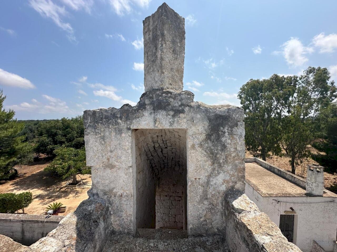 WhatsApp Image 2025-07-16 at 10.55.49 AM.jpeg - Casale Strada Provinciale 29, Ostuni - foto 3