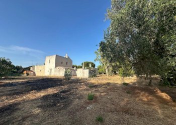 WhatsApp Image 2025-07-16 at 10.56.07 AM.jpeg - Casale Strada Provinciale 29, Ostuni - foto 1