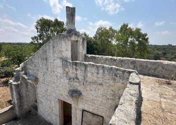 WhatsApp Image 2025-07-16 at 10.55.43 AM.jpeg - Casale Strada Provinciale 29, Ostuni - foto 2