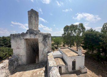 WhatsApp Image 2025-07-16 at 10.55.50 AM-5.jpeg - Casale Strada Provinciale 29, Ostuni - foto 8