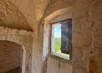 WhatsApp Image 2025-07-16 at 10.55.51 AM-7.jpeg - Casale Strada Provinciale 29, Ostuni - foto 15