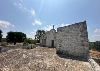 WhatsApp Image 2025-07-16 at 10.55.52 AM-4.jpeg - Casale Strada Provinciale 29, Ostuni - foto 19