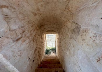 WhatsApp Image 2025-07-16 at 10.55.53 AM-3.jpeg - Casale Strada Provinciale 29, Ostuni - foto 22