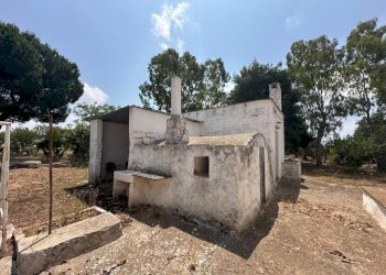 WhatsApp Image 2025-07-16 at 10.55.53 AM-5.jpeg - Casale Strada Provinciale 29, Ostuni - foto 24