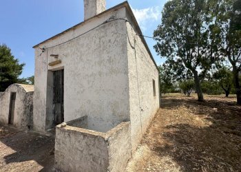 WhatsApp Image 2025-07-16 at 10.55.53 AM-6.jpeg - Casale Strada Provinciale 29, Ostuni - foto 25