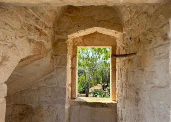 WhatsApp Image 2025-07-16 at 10.55.53 AM.jpeg - Casale Strada Provinciale 29, Ostuni - foto 26