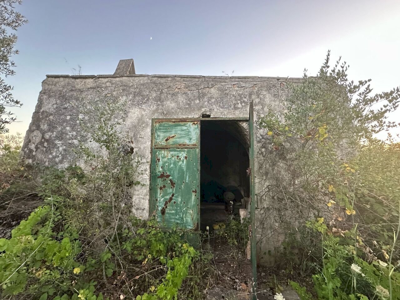 WhatsApp Image 2025-07-02 at 10.40.34 AM-2.jpeg - Casa indipendente Strada Provinciale 29, Ostuni - foto 1