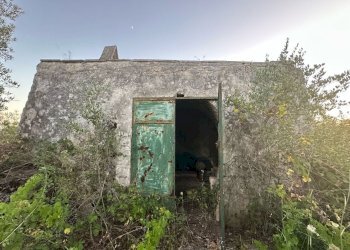 WhatsApp Image 2025-07-02 at 10.40.34 AM-2.jpeg - Casa indipendente Strada Provinciale 29, Ostuni - foto 1