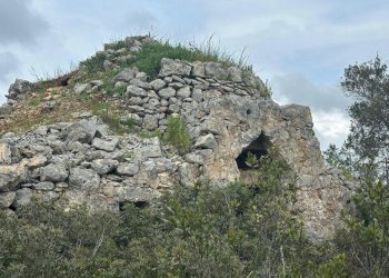 WhatsApp Image 2025-07-02 at 10.43.44 AM-3.jpeg - Casa indipendente Strada Provinciale 29, Ostuni - foto 2