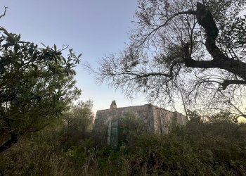 WhatsApp Image 2025-07-02 at 10.40.41 AM-2.jpeg - Casa indipendente Strada Provinciale 29, Ostuni - foto 4