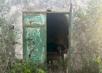 WhatsApp Image 2025-07-02 at 10.40.41 AM.jpeg - Casa indipendente Strada Provinciale 29, Ostuni - foto 5