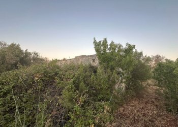 WhatsApp Image 2025-07-02 at 10.40.42 AM-2.jpeg - Casa indipendente Strada Provinciale 29, Ostuni - foto 6