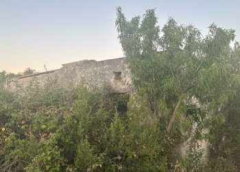 WhatsApp Image 2025-07-02 at 10.40.42 AM.jpeg - Casa indipendente Strada Provinciale 29, Ostuni - foto 7