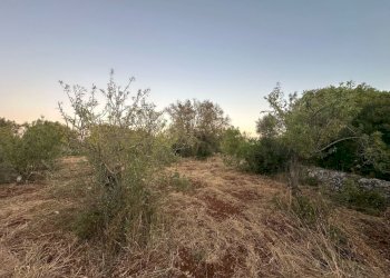 WhatsApp Image 2025-07-02 at 10.40.43 AM-2.jpeg - Casa indipendente Strada Provinciale 29, Ostuni - foto 8