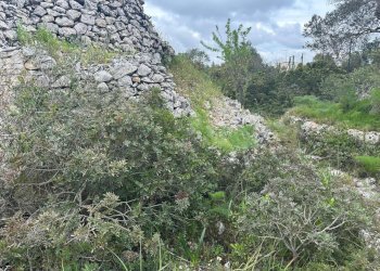 WhatsApp Image 2025-07-02 at 10.43.44 AM-2.jpeg - Casa indipendente Strada Provinciale 29, Ostuni - foto 10