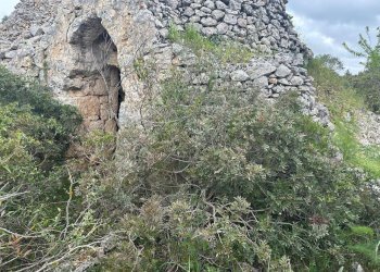 WhatsApp Image 2025-07-02 at 10.43.44 AM.jpeg - Casa indipendente Strada Provinciale 29, Ostuni - foto 11