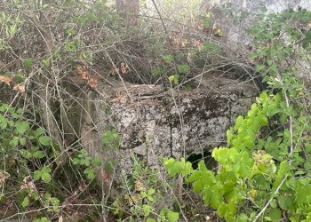 WhatsApp Image 2025-07-02 at 10.40.34 AM.jpeg - Casa indipendente Strada Provinciale 29, Ostuni - foto 14