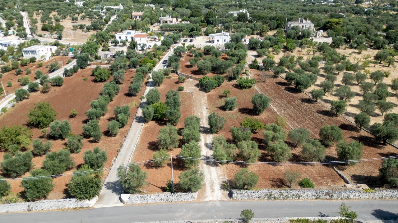 senza titolo-1.jpg - Villa Via Provinciale Martina Franca, Ostuni - photo 3