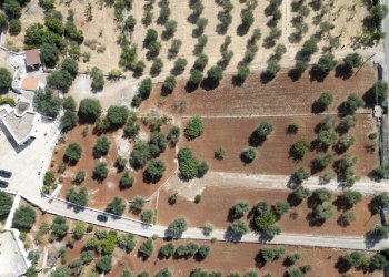 senza titolo-3.jpg - Villa Via Provinciale Martina Franca, Ostuni - foto 5