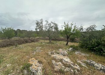 WhatsApp Image 2025-05-05 at 17.36.07 (2).jpeg - Casa indipendente Contrada San Giovanni, Ostuni - foto 6