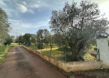 WhatsApp Image 2025-04-22 at 12.29.30 PM (3).jpeg - Villa Strada Provinciale 28, Ostuni - foto 9