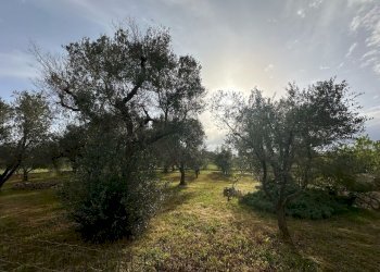 WhatsApp Image 2025-04-22 at 12.29.31 PM.jpeg - Villa Strada Provinciale 28, Ostuni - foto 14