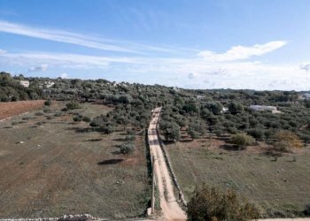 WhatsApp Image 2025-02-11 at 12.50.51 PM.jpeg - Villa Contrada Cervarolo, Ostuni - foto 5