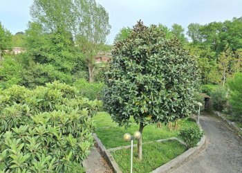 20240415_163617.jpg - Appartamento Via Orsa Maggiore 58, Rignano Flaminio - foto 16