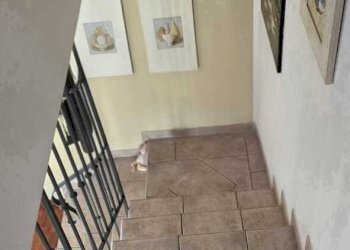 FOTO 15.jpg - Terratetto - Terracielo Via Alfonso Pinzon, Bellaria-Igea Marina - foto 17