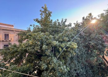 ba673805-9c94-4a6b-bf8a-f20413326f4a.jpg - Appartamento Via Filiciuzza, Palermo - foto 1