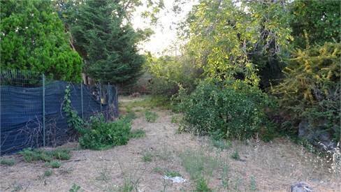 3.jpg - Agricultural land Vico Calvagna, Ragalna - photo 3