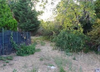 3.jpg - Terreno agricolo Vico Calvagna, Ragalna - foto 3