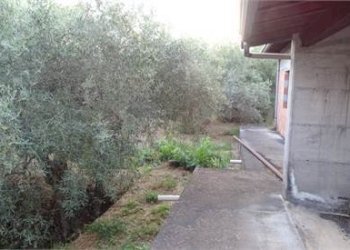 9.jpg - Terreno agricolo Vico Calvagna, Ragalna - foto 9