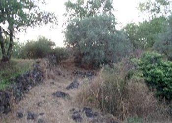 23.jpg - Terreno agricolo Vico Calvagna, Ragalna - foto 23