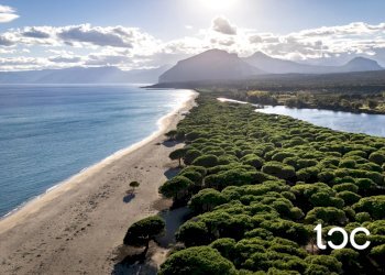 Villa Orosei - foto 24