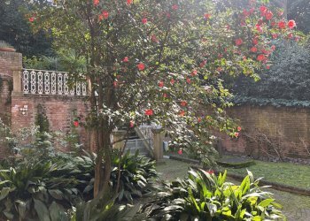 Apartment Bologna (neighborhood Saragozza) - photo 5