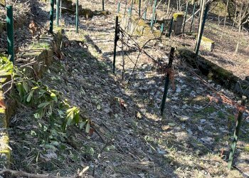 Casa semi indipendente Borgata Tetrto Piglione, Snc, Roaschia - foto 9